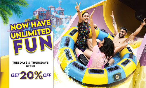 WNJ-Tuesday-Thursday-Offer-Mob