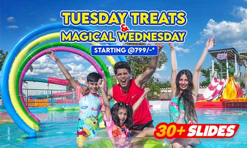 Tuesday Treats & Magical Wednesday