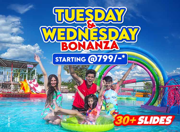 Tuesday wednesday bonanza