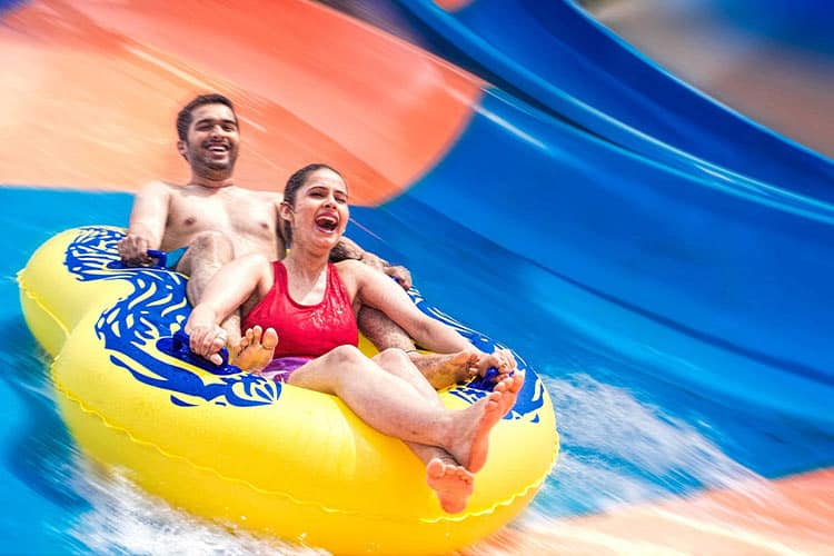 Unlimited access to 30+ thrilling slides