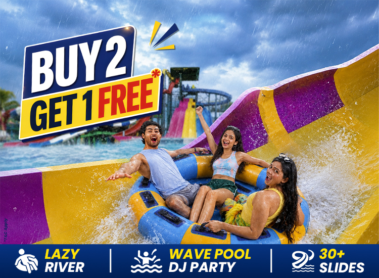 buy 2 get 1 free