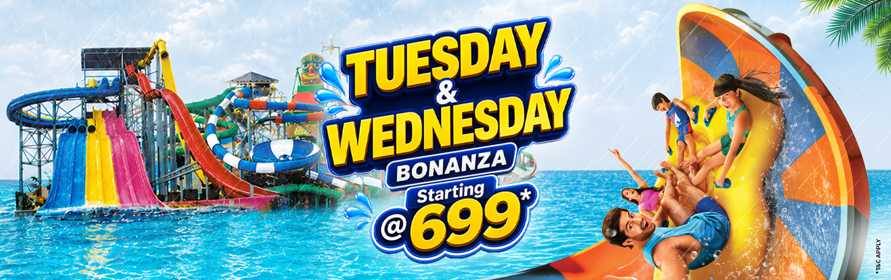 Tuesday & Wednesday Bonanza