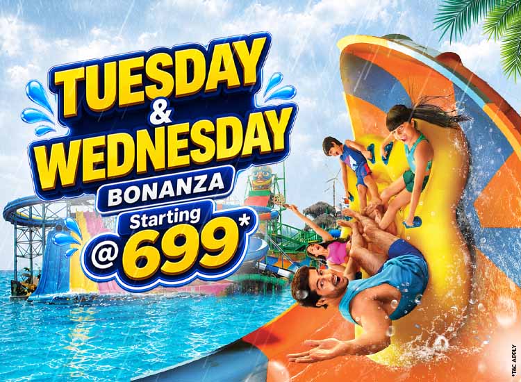Tuesday & Wednesday Bonanza