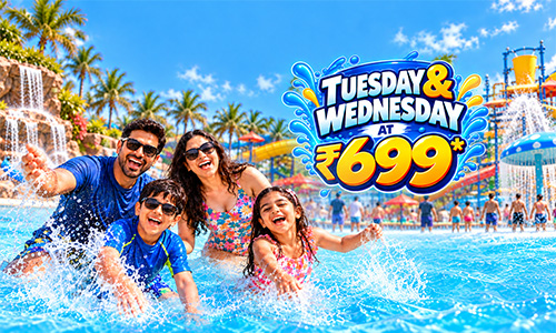 Tuesday-Wednesday-Offer